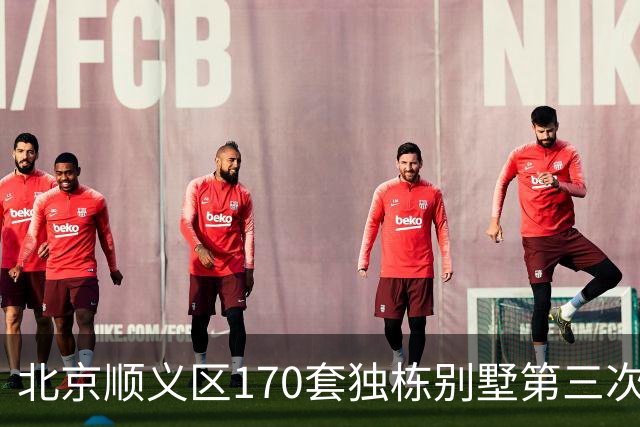 北京顺义区170套独栋别墅第三次整体拍卖的市场前景分析